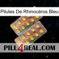Pilules De Rhinocéros Bleu new10